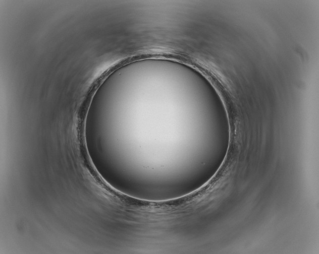 X0000112901404200909041713