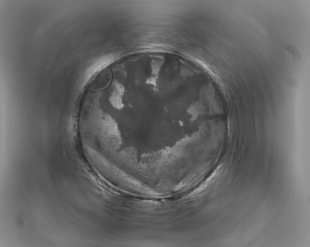 X0000112901405200909041713