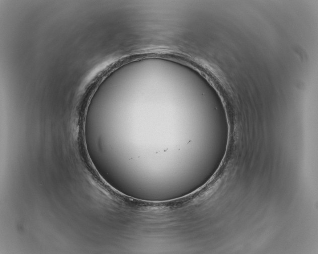 X0000112901406200909041713