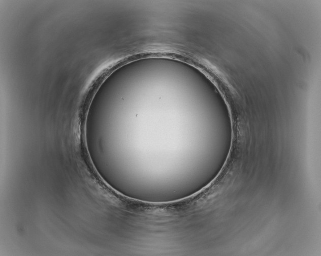 X0000112901408200909041713