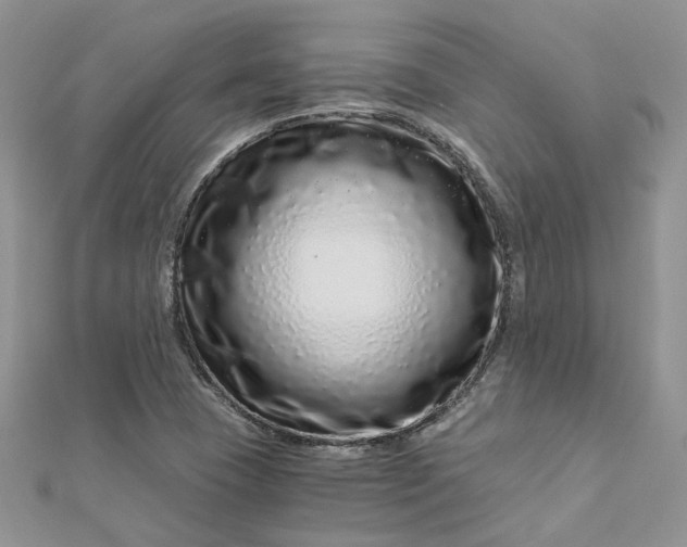 X0000112901409200909041713