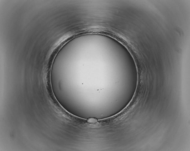 X0000112901410200909041713