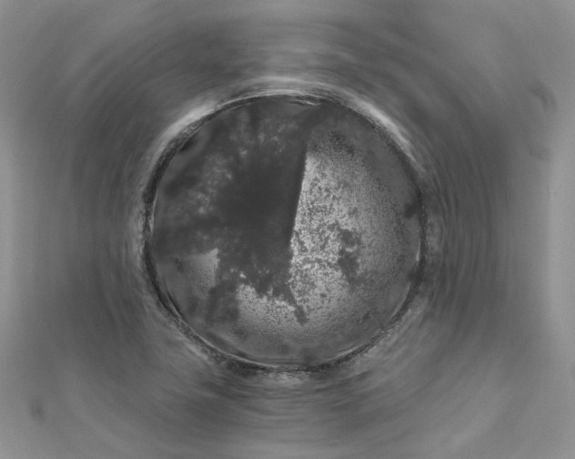 X0000112901411200909041713