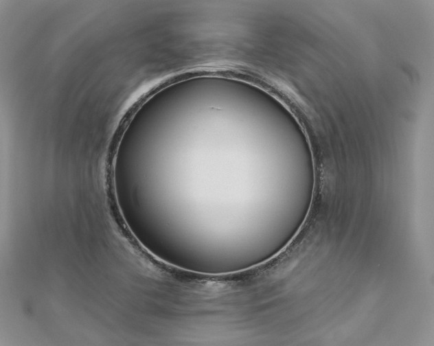 X0000112901412200909041713