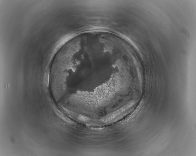 X0000112901413200909041713