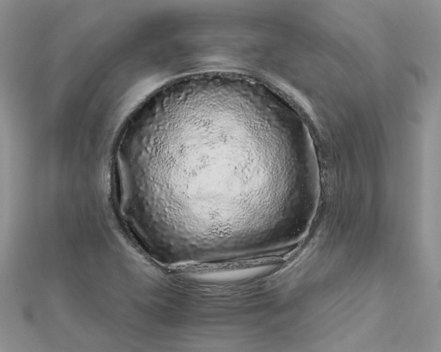 X0000112901415200909041713