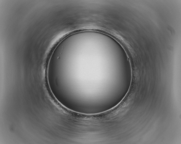 X0000112901416200909041713