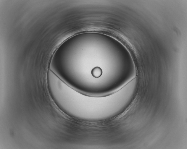 X0000112901417200909041713