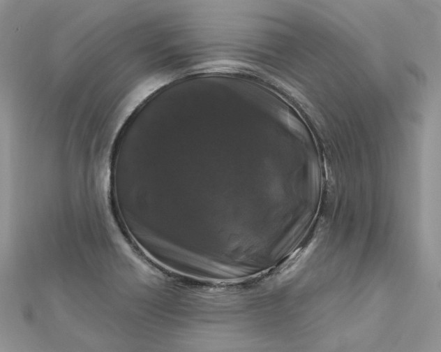 X0000112901418200909041713