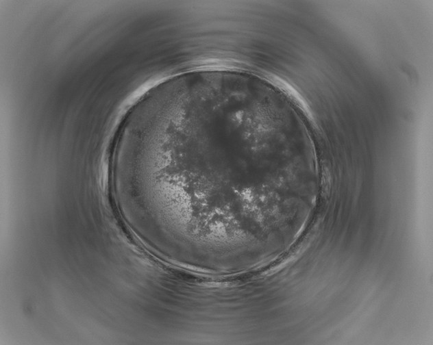 X0000112901419200909041713