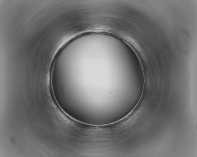 X0000112901420200909041713