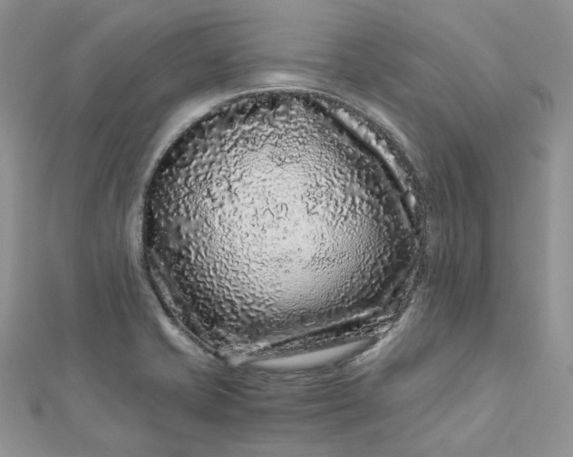 X0000112901421200909041713