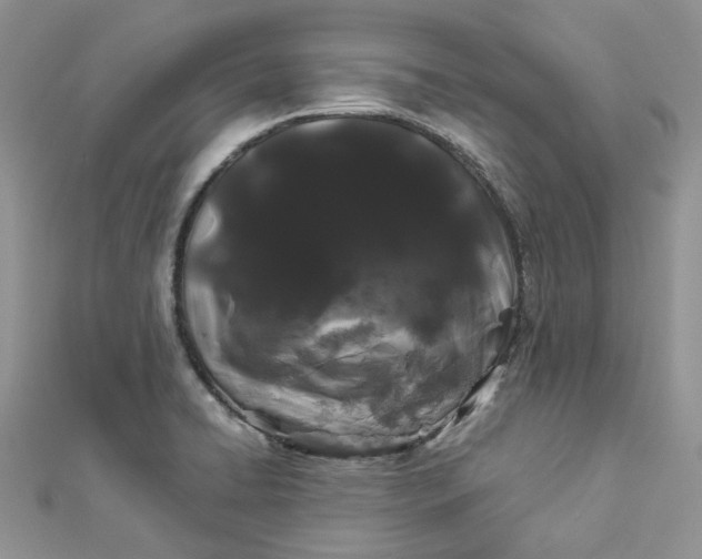 X0000112901422200909041713