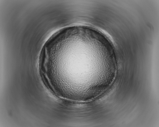 X0000112901423200909041713