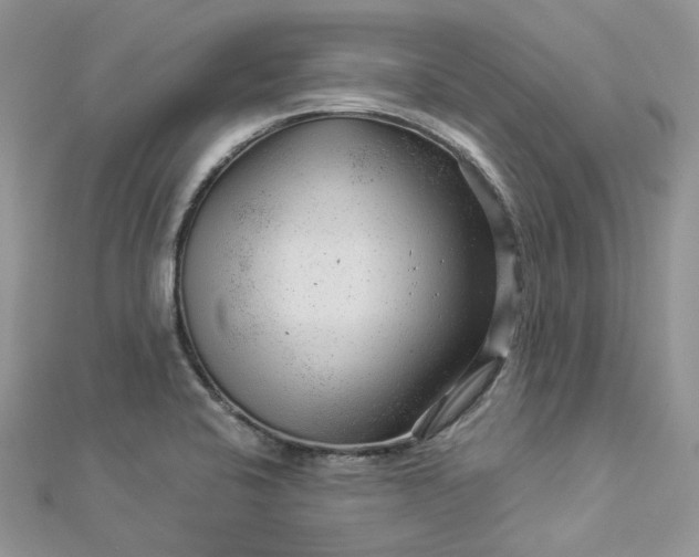 X0000112901424200909041713