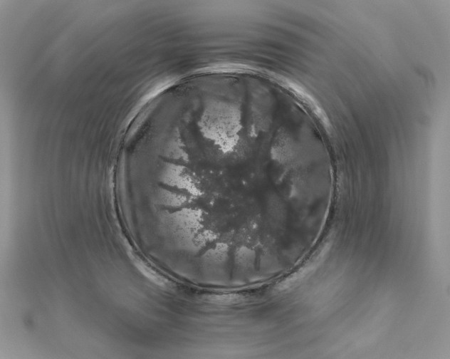 X0000112901425200909041713