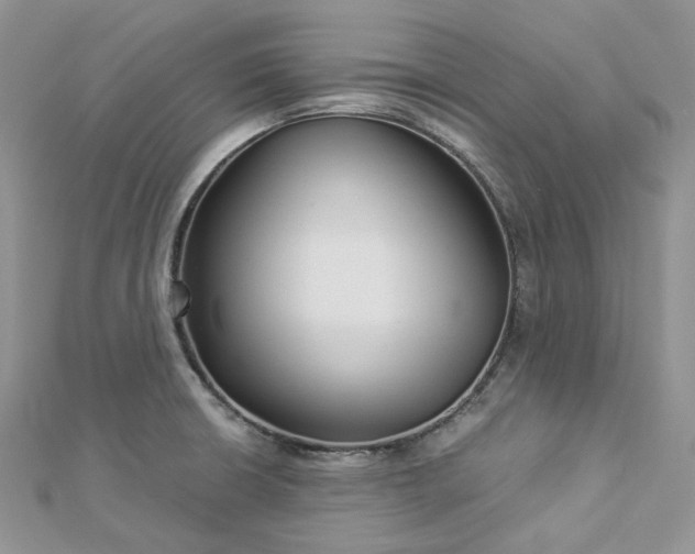 X0000112901426200909041713