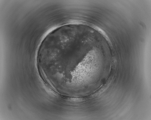 X0000112901427200909041713