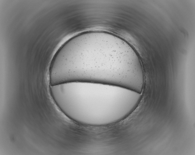 X0000112901428200909041713