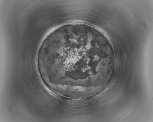 X0000112901429200909041713