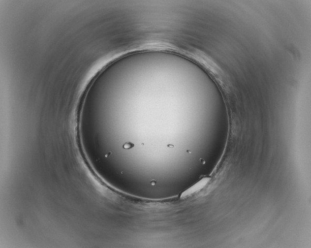 X0000112901430200909041713