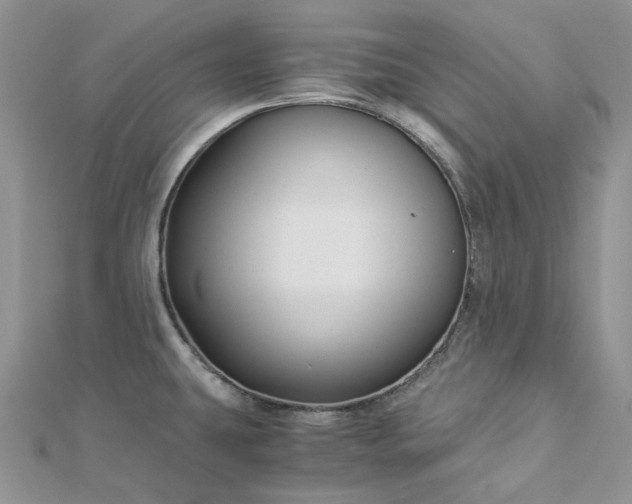 X0000112901431200909041713