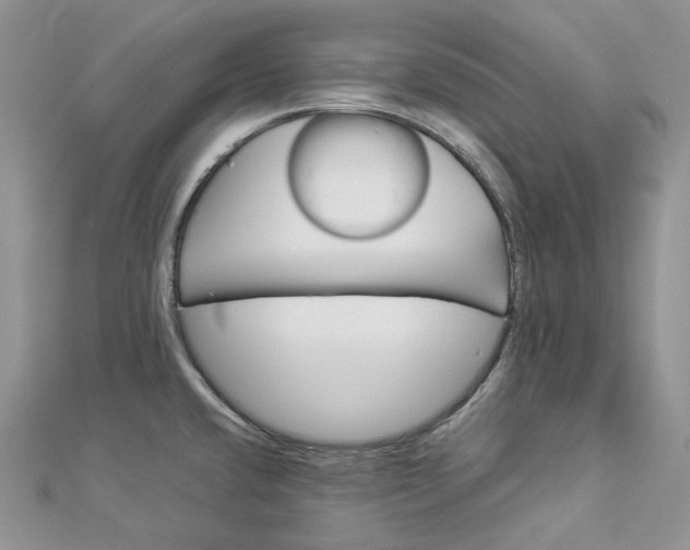 X0000112901432200909041713