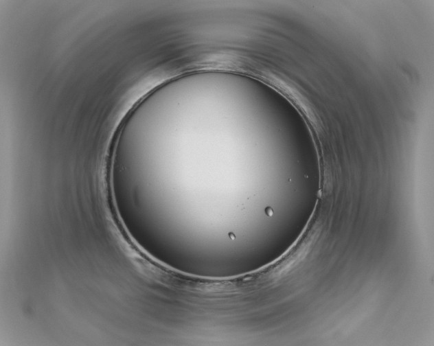 X0000112901434200909041713