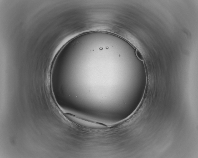 X0000112901436200909041713