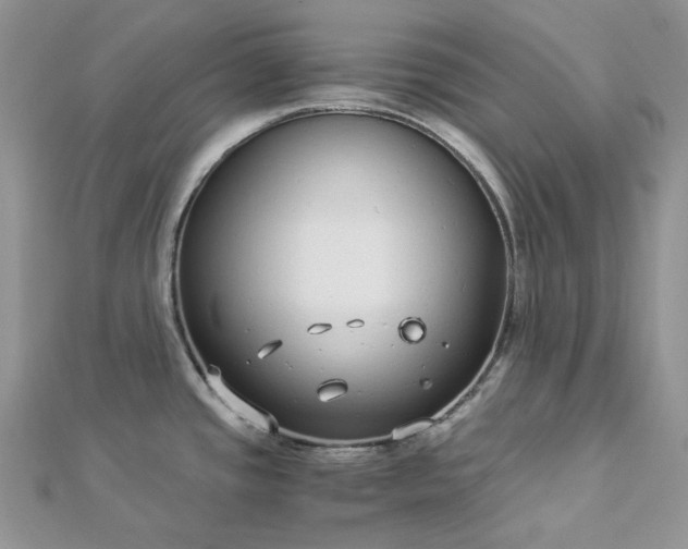 X0000112901437200909041713