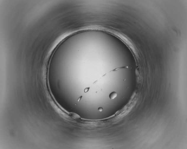 X0000112901438200909041713