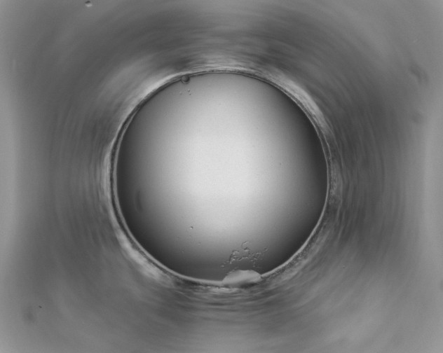 X0000112901439200909041713