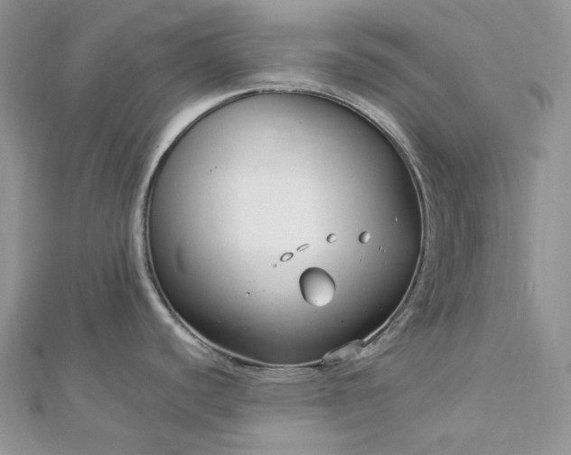 X0000112901440200909041713