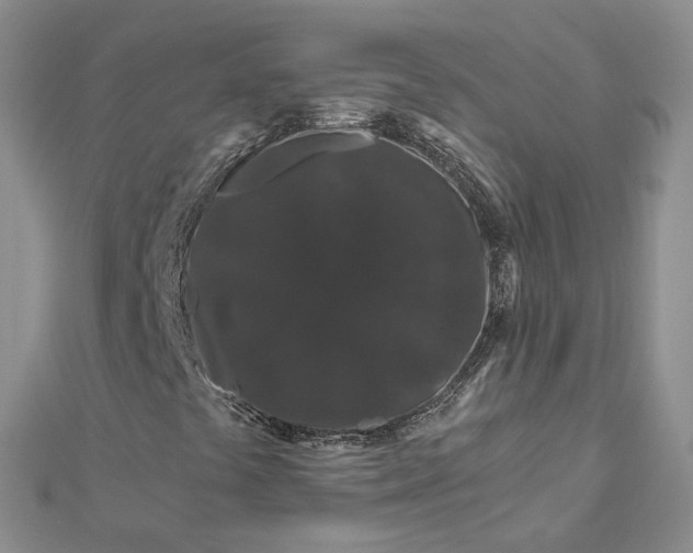 X0000112901441200909041713