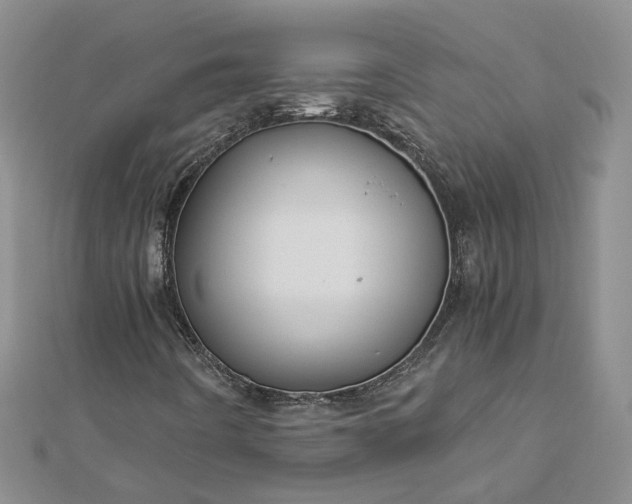 X0000112901442200909041713