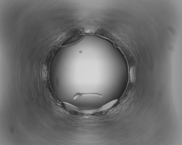 X0000112901443200909041713