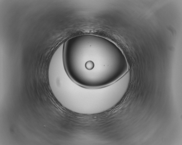 X0000112901444200909041713