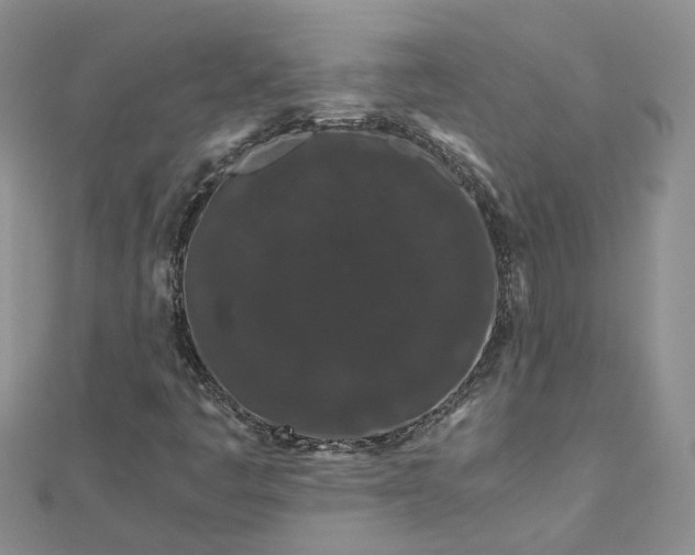 X0000112901445200909041713