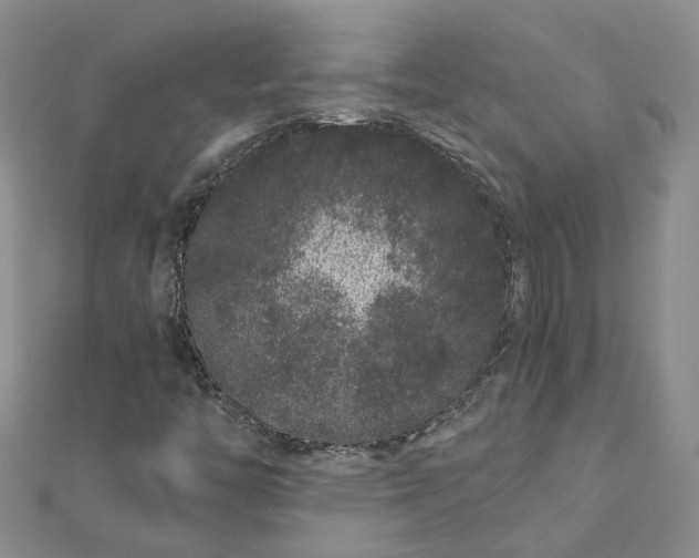 X0000112901446200909041713