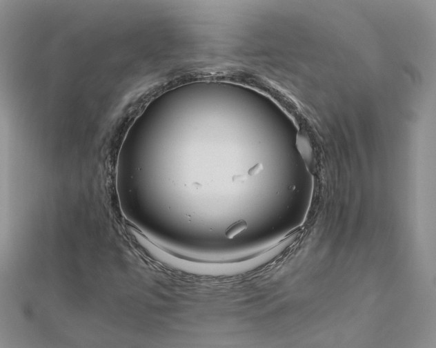 X0000112901447200909041712