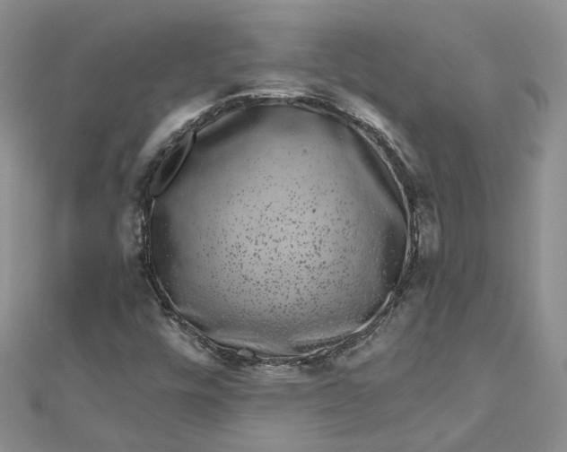 X0000112901448200909041712