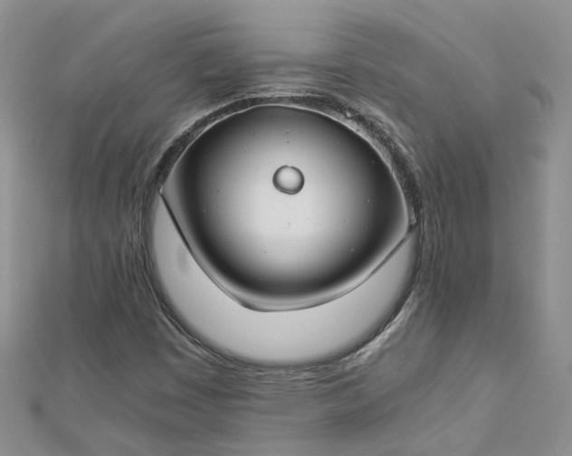 X0000112901449200909041712