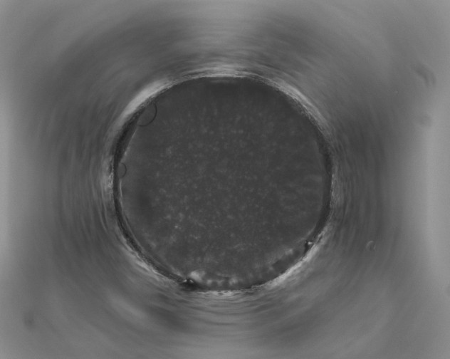 X0000112901450200909041712