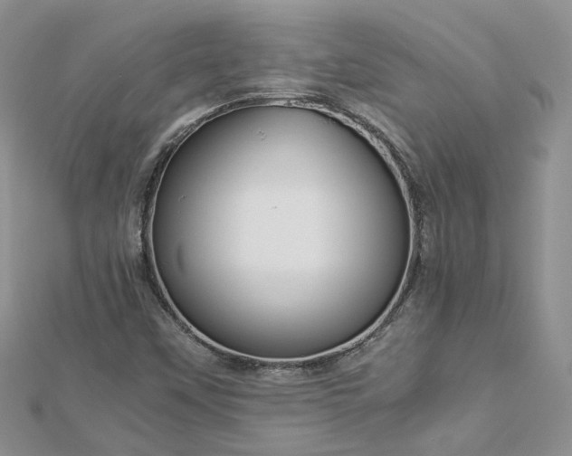 X0000112901451200909041712