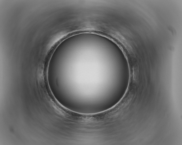 X0000112901452200909041712