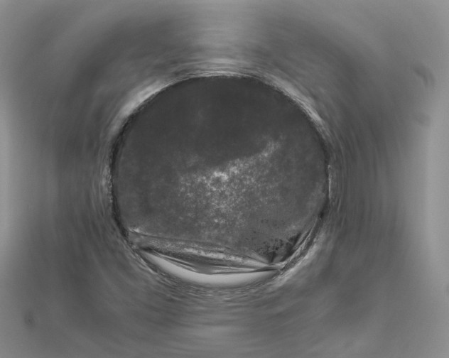 X0000112901453200909041712