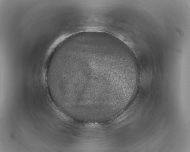 X0000112901454200909041712