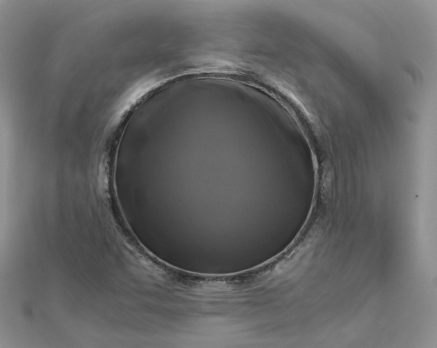 X0000112901455200909041712