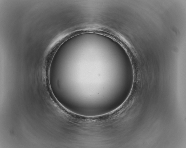 X0000112901456200909041712