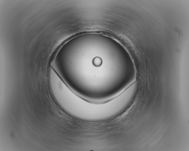 X0000112901457200909041712